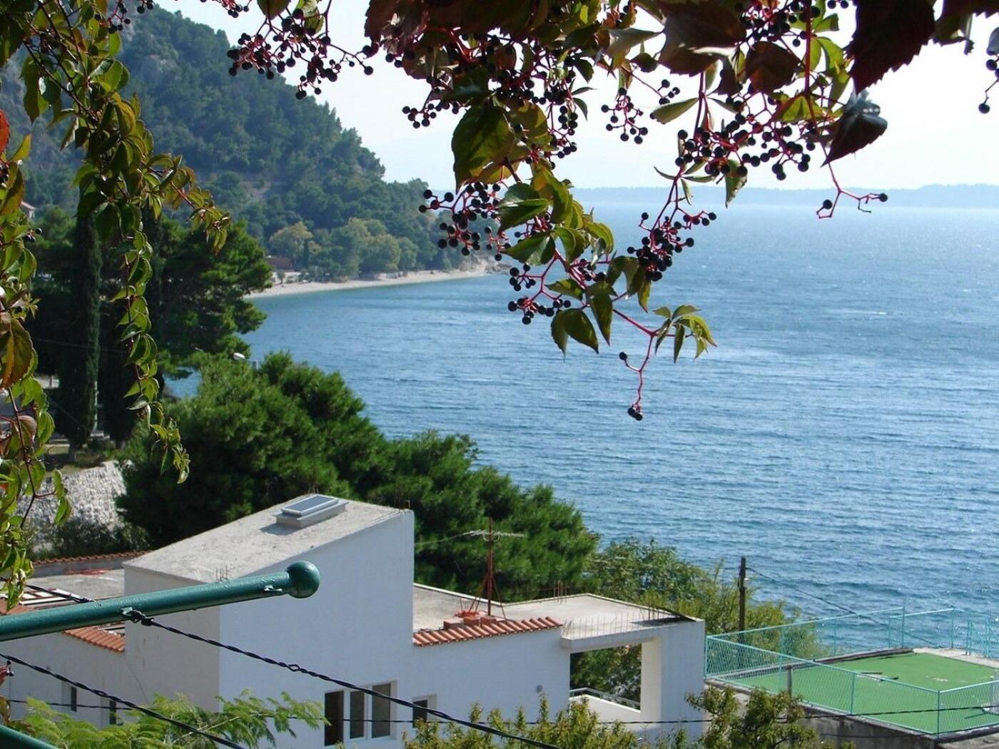 Apartma Gogi